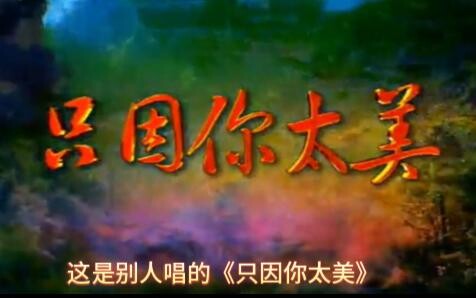 2004年的《只因你太美》与现在的《鸡你太美》对比