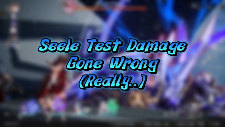 Seele Showcase Gone (Really) Wrong