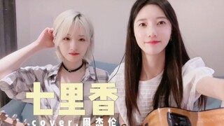 夏天初恋白月光 梦幻联动《七里香》