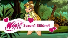 Winx Club - Sezon 1 Bölüm 4 - Karaçamur Bataklığı