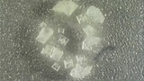 Salt crystal formation timelapse. Microscope? Check.