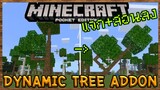 แจก+สอนลง Minecraft PE ต้นไม้สมจริง!!ตัดแล้วโค้น Dynamic Tree Addon