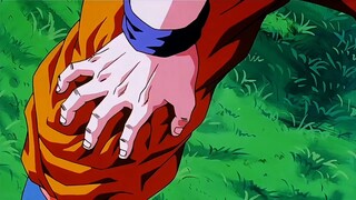 Seven Dragon Ball: Ini adalah kesempatan sekali seumur hidup, sudahkah Anda memanfaatkannya?