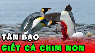 🟢 Video Mặn Không Dành Cho Thanh Niên Nghiêm Túc - CHIM CÁNH CỤT p3 | KGH ANIMALS