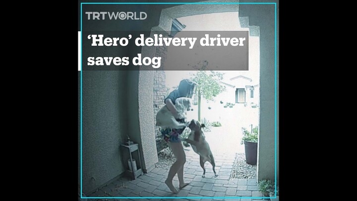 Amazon driver saves woman and her dog from an aggressive dog attack