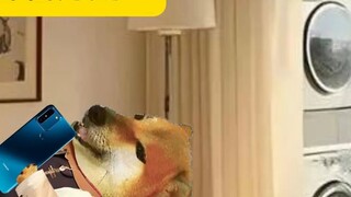 การพึ่งพาตนเองของบุตรหลานที่ไปเรียนต่างประเทศ