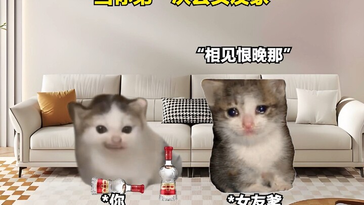 当你第一次去女友家时 #猫Meme #逆天 #万万没想到