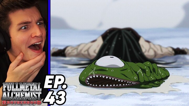 DR. MARCOH VS. ENVY!! | Fullmetal Alchemist: Brotherhood Episode 43 REACTION (Bite of the Ant)