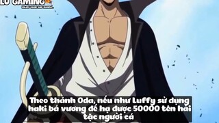 Top 7 Người Dùng Được 3 Loại Haki Trong One Piece p8