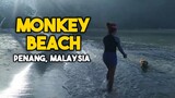 Monkey Beach - Penang, MALAYSIA ( with TEAM MOTIONS )