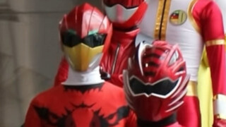 "Kamen Rider Yamato và những người bạn động vật của anh ấy."