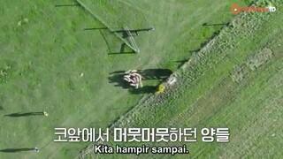 Bros on Foot E05 (indosub)