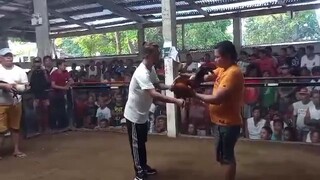 2nd fight LOSE. MANDAON GALLERA