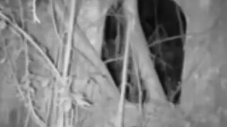 Paranormal "UJI NYALI"