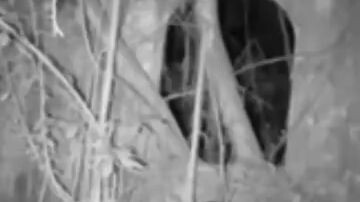 Paranormal "UJI NYALI"