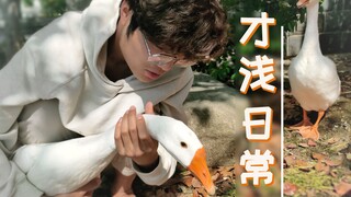 【才浅日常】UP主的退休生活，为移民火星做准备