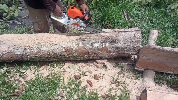 stihl baby chainsaw