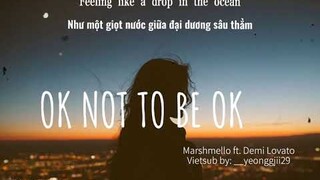 [Lyrics+ Vietsub]  OK Not To Be OK - Marshmello ft. Demi Lovato