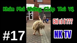 Tổng hợp Memes part 17 | Những Video Độc Đáo!