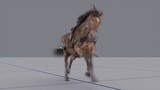 [CG 3D] Referensi Video Kuda Berlari