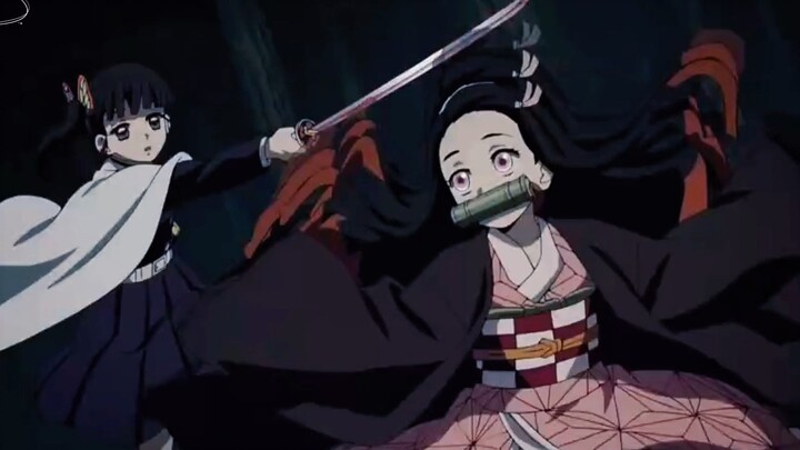 Nezuko is being chased and chopped by her sister-in-law. It’s so cute when she runs away!