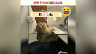 Xem phim cùng Baba #meme