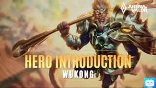 Wukong Hero Introduction Guide #AOV