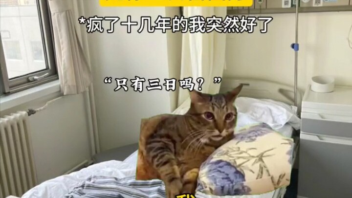允你三日自由身，了却人间凡尘事