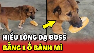 Sen biết được LÒNG DẠ của Boss chỉ bằng ổ bánh mì 😂 | Yêu Lu