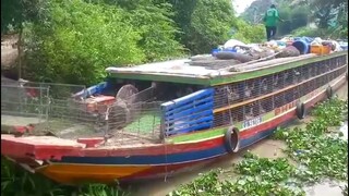 -Một Con Vịt-Đàn Vịt Đẻ Nhiều Như Kiến Lên Gã l Cuộc Sống Miền Tây