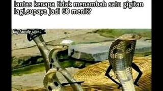 ngakak bet