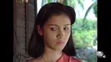 สายโลหิต 2538 ตอนที่8