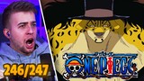 LUCCI IS BROKEN!! GOING MERRY IS ALIVE?! One Piece Episode 246 & 247 REACTION + REVIEW!