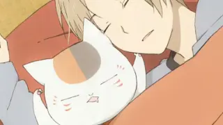 [Natsume's Book of Friends] の Collection of Big Fat Cats Drilling the Bed