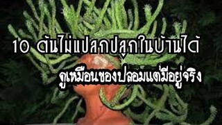 10 ต้นไม้แปลกปลูกในบ้านได้ดูเหมือนของปลอมเเต่มีอยู่จริง