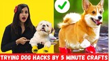 Trying Cute PET HACKS by 5 MINUTE CRAFTS to Make your Life Easier 🤣