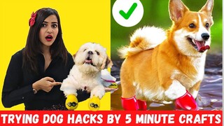 Trying Cute PET HACKS by 5 MINUTE CRAFTS to Make your Life Easier 🤣