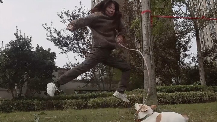 [Pets] Playful Dog Walking Routine