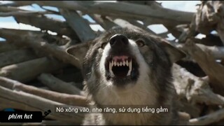 Tóm tắt phim Nanh Trắng 4 #tomtatphim