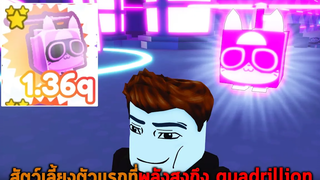 สัตว์เลี้ยงตัวแรกที่พลังสูงถึง quadrillion Roblox Pet Simulator X