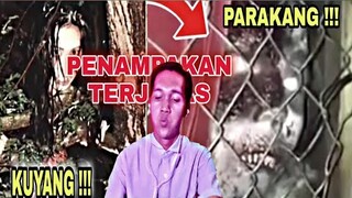 Penampakan hantu terjelas dan seram