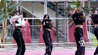 Buổi trình diễn Pandora! ! Các thực tập sinh năm 2005 cover ca khúc mới của nhóm nhạc nữ AI MAVE~
