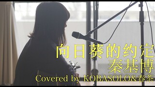 [kobasolo& Teh Musim Semi] "Doraemon Comes with Me" Janji Bunga Matahari/Qin Jibo (Cover Wanita) [Pe