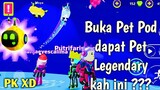 Buka Pet Pod 6000 dapat Pet Legendary kah ini ??? | PK XD update terbaru