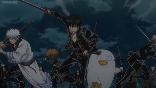 Best Moment Funny Gintama° #16│Rescue operation to rescue Katsura and Kondo 【銀魂°】