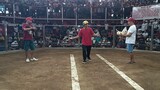 4stag derby, 2nd fight win