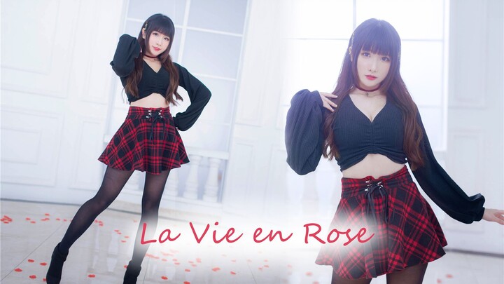 【吖静sizu】♦La Vie en Rose♦ชีวิตดอกกุหลาบ