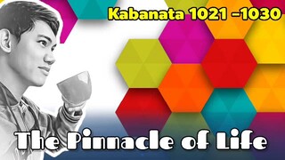 The Pinnacle of Life / Kabanata 1021 - 1030