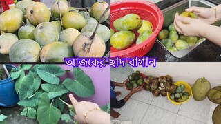 গ্রাম থেকে কি কি নিয়ে আসলাম মধুর মাসে ॥