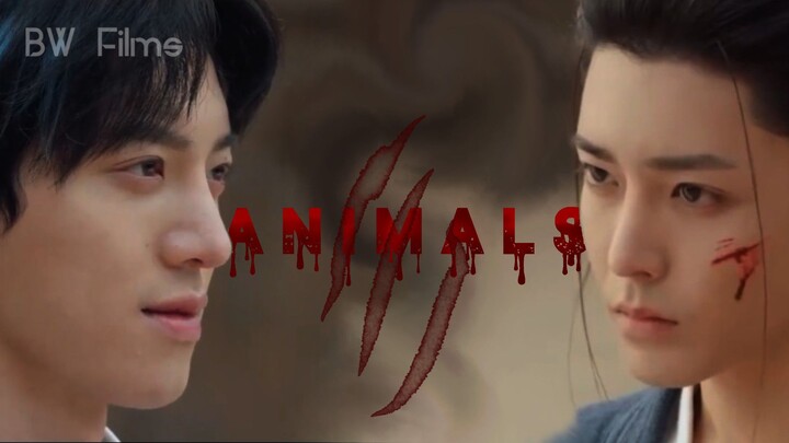 Wang Ye x Zhuge Qing - ANIMALS